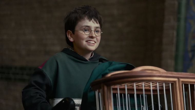 Harry Potter, la serie.&nbsp;