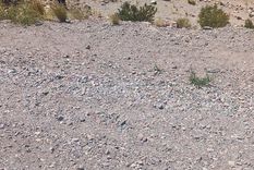 Vuelco en Alta Montaña. Foto: Ministerio de Seguridad