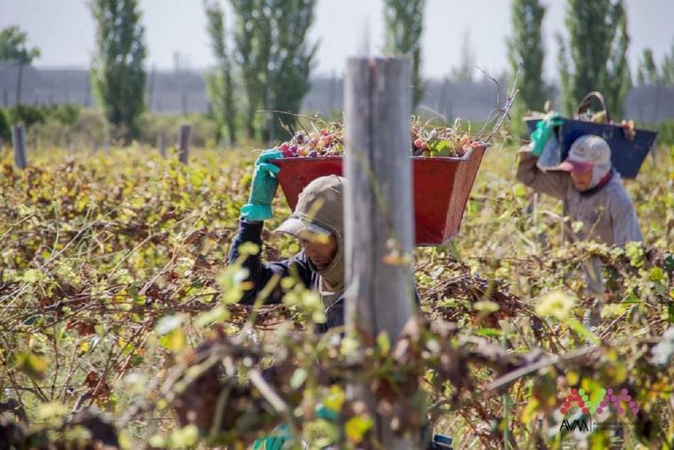 Antes de la Vendimia, un grupo de viñateros vive una tarde especial con recorridos, brindis y entradas para la fiesta mayor de Mendoza.