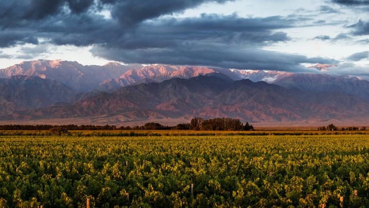 Valle de Uco, Mendoza. Valle de Uco, Mendoza.