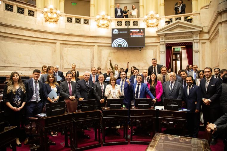 El bloque de La Libertad Avanza en el Senado se mostró triunfal tras la aprobación de la reforma laboral.