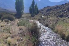 Arroyo El Tigre que atraviesa el Proyecto San Jorge.
