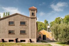 El aceite de oliva es cada vez más demandado en el mundo y Argentina tiene por delante una gran oportunidad, con demanda y buenos precios.