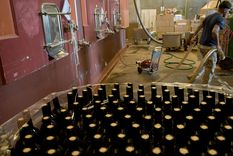 Las bodegas ahora tendrán permitido adicionar nuevas sustancias, según la nueva regulación. Foto: Walter Moreno/MDZ con Moto G54