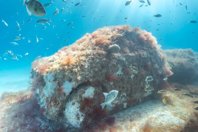 Fotografía cedida por Reefline que muestra uno de los coches de hormigón que forma parte de una especie de autopista marina que se encuentra a poco más de seis metros de profundidad, en las aguas de Miami Beach. Fotografía cedida por Reefline que muestra uno de los coches de hormigón que forma parte de una especie de autopista marina que se encuentra a poco más de seis metros de profundidad, en las aguas de Miami Beach. 