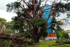 TEMPORAL El 9 de enero una tormenta severa azotó a Miramar Foto: NA
