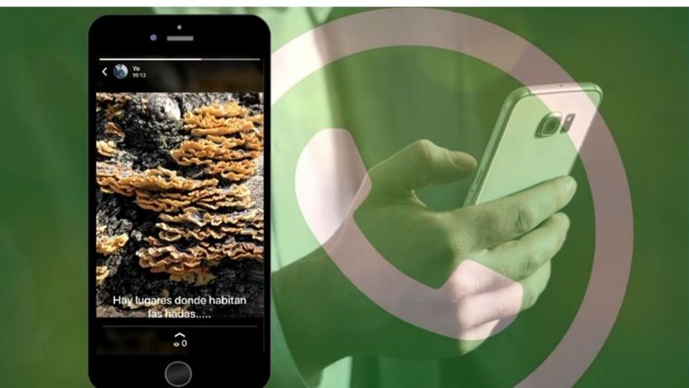WhatsApp Fuente MAG