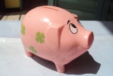 por que las alcancias tienen forma de cerdo