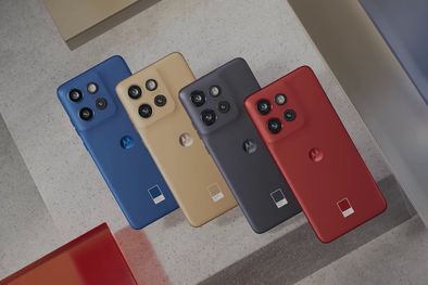 MDZol | motorola 50 neo
