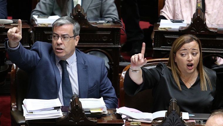 Los diputados Germán Martínez y Cecilia Moreau, en pleno debate.