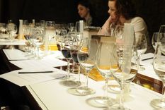 Definen los vinos emblemas de la Argentina Foto: ALF PONCE MERCADO / MDZ Definen los vinos emblemas de la Argentina Foto: ALF PONCE MERCADO / MDZ