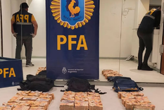 Desbaratan una banda brasileña que lavaba millonarias sumas de dinero en criptomonedas. Foto: NA Foto: Policía Federal