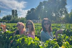 No te pierdas las fotos y videos, en la nota. Foto: Instagram