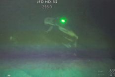 Foto: Bisinglasi / www.globallookpress.com