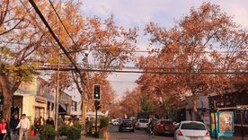 Cruzando la cordillera, Chile ofrece en otoño algunos de sus destinos más atractivos, con bosques, volcanes y paisajes que cambian por completo de color. Cruzando la cordillera, Chile ofrece en otoño algunos de sus destinos más atractivos, con bosques, volcanes y paisajes que cambian por completo de color.
