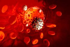 Representación del virus VIH en el flujo sanguíneo. Foto: Infosalus. Representación del virus VIH en el flujo sanguíneo. Foto: Infosalus.