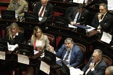 En el Senado la oposición se anotó una nueva victoria.