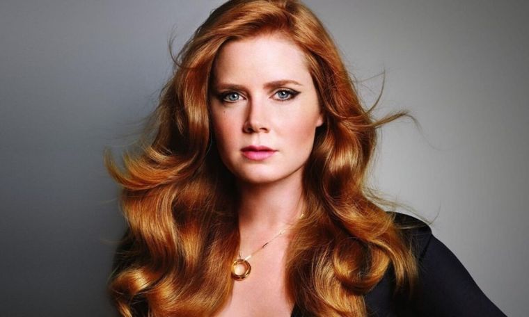 AMY ADAMS ES UNA DE LAS GRANDES ACTRICES DE HOLLYWOOD. SIN EMBARGO, SIEMPRE MANTIENE SU VIDA PRIVADA LEJOS DEL LENTE DE LOS PAPARAZZIS.