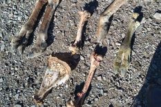 Los restos fueron hallados cerca de Villavicencio Los restos fueron hallados cerca de Villavicencio