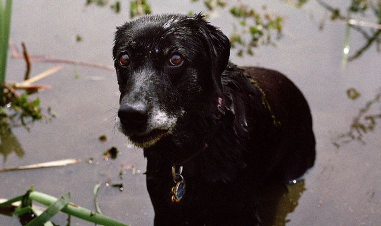 Foto: charlottedumas.nl