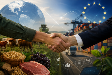 MDZol | Comercio internacional