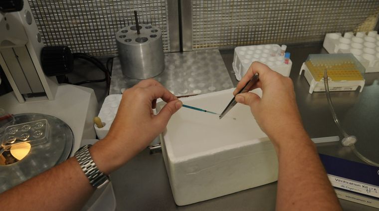 Foto: Alf Ponce / MDZ