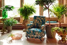 El movimiento de las plantas responde a optimizar el uso de la luz solar.