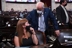 La senadora Anabel Fernández Sagasti presentó hoy un proyecto en contra de los jueces sin perspectiva de género. Foto: Comunicación Senado La senadora Anabel Fernández Sagasti presentó hoy un proyecto en contra de los jueces sin perspectiva de género. Foto: Comunicación Senado