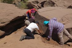 El equipo de investigación del CONICET y de la UBA analizando el bloque de piedra con huellas fósiles de animales que vivieron hace 15 millones de años. Foto: Conicet