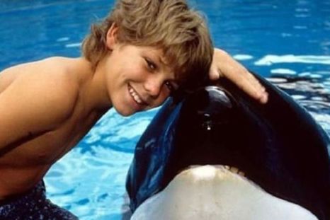 En la década de los 90, la película Liberen a Willy conquistó el corazón de chicos y grandes.