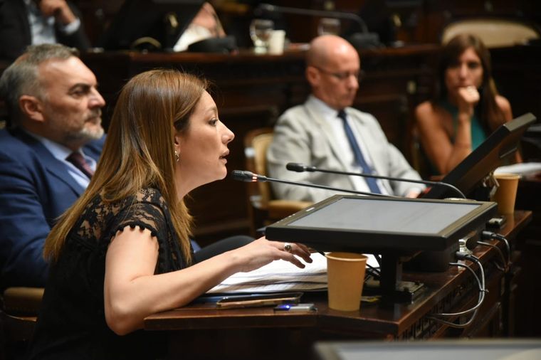 Foto: Prensa Legislatura de Mendoza