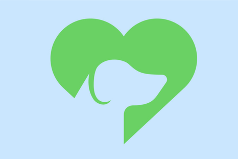 test de personalidad test de personalidad