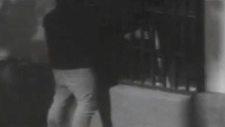 El robo fue captado por las cámaras del CEO dentro del departamento de Maipú.