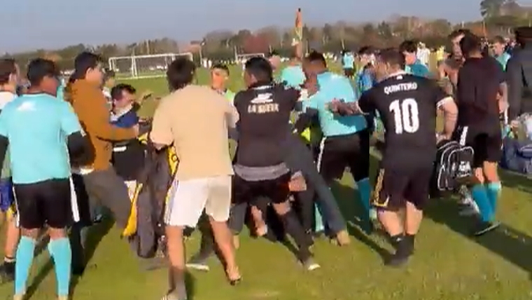 La pelea se desató luego de una discusión de la discusión de un equipo con árbitro.