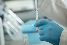suero equino y plasma humano contra el covid: ¿que pacientes pueden recibir estos tratamientos?