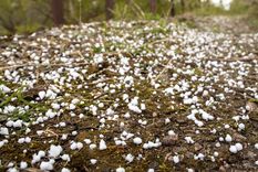 En las últimas horas, se registró la caída de graupel en varias zonas de la provincia de Buenos Aires.