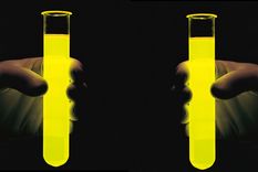 Foto: ojocientifico.com