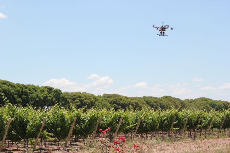 Cada vez más productores recurren a la tecnología para optimizar procesos en sus cultivos. Foto: Inta