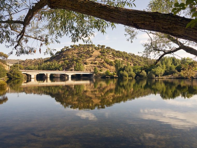 Pelayos de la Presa, Madrid Foto: Shutterstock