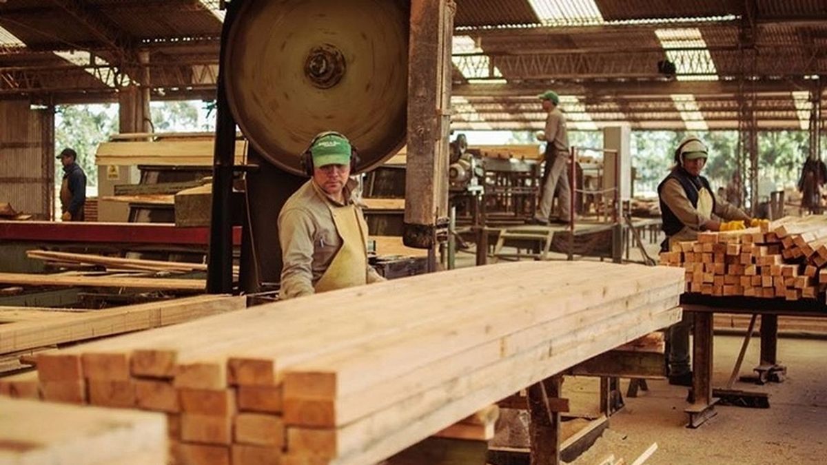 La capacidad instalada de la industria mejoró en agosto