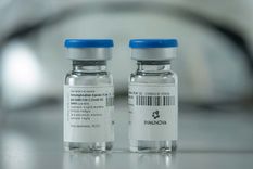 covid-19: the lancet publico los resultados sobre el uso del suero equino