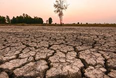 Hay un 65% de probabilidades de que La Niña, que tiene efectos opuestos a El Niño, se forme en el período de julio, agosto y septiembre. Foto: Shutterstock