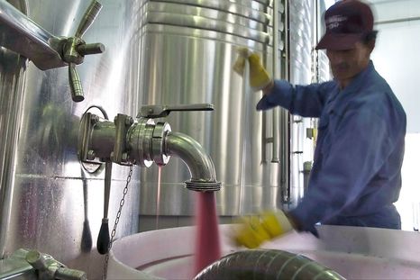 El Malbec continúa siendo el principal faro de las ventas para las bodegas