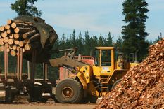 La inversión anunciada es la más relevante en la industria forestal en los últimos años en la provincia de Corrientes.