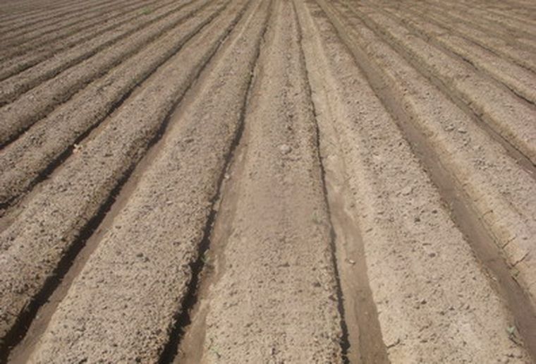 Foto: Ulises Naranjo / MDZ.