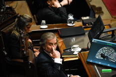 Benegas Lynch salió en defensa del Gobierno