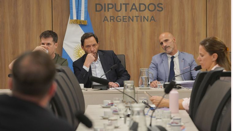 La comisión investigadora LIBRA presidida por el diputado nacional Maximiliano Ferraro.