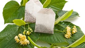 Colocar bolsitas de té en el limonero tiene grandes beneficios. A continuación te decimos cuáles son. Colocar bolsitas de té en el limonero tiene grandes beneficios. A continuación te decimos cuáles son.