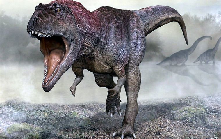 Un ejemplar de dinosaurio terópodo, según esta recreación. Foto Universidad Maimónides&nbsp;