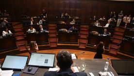 Qué harán los diputados y senadores que finalizaron sus mandatos.